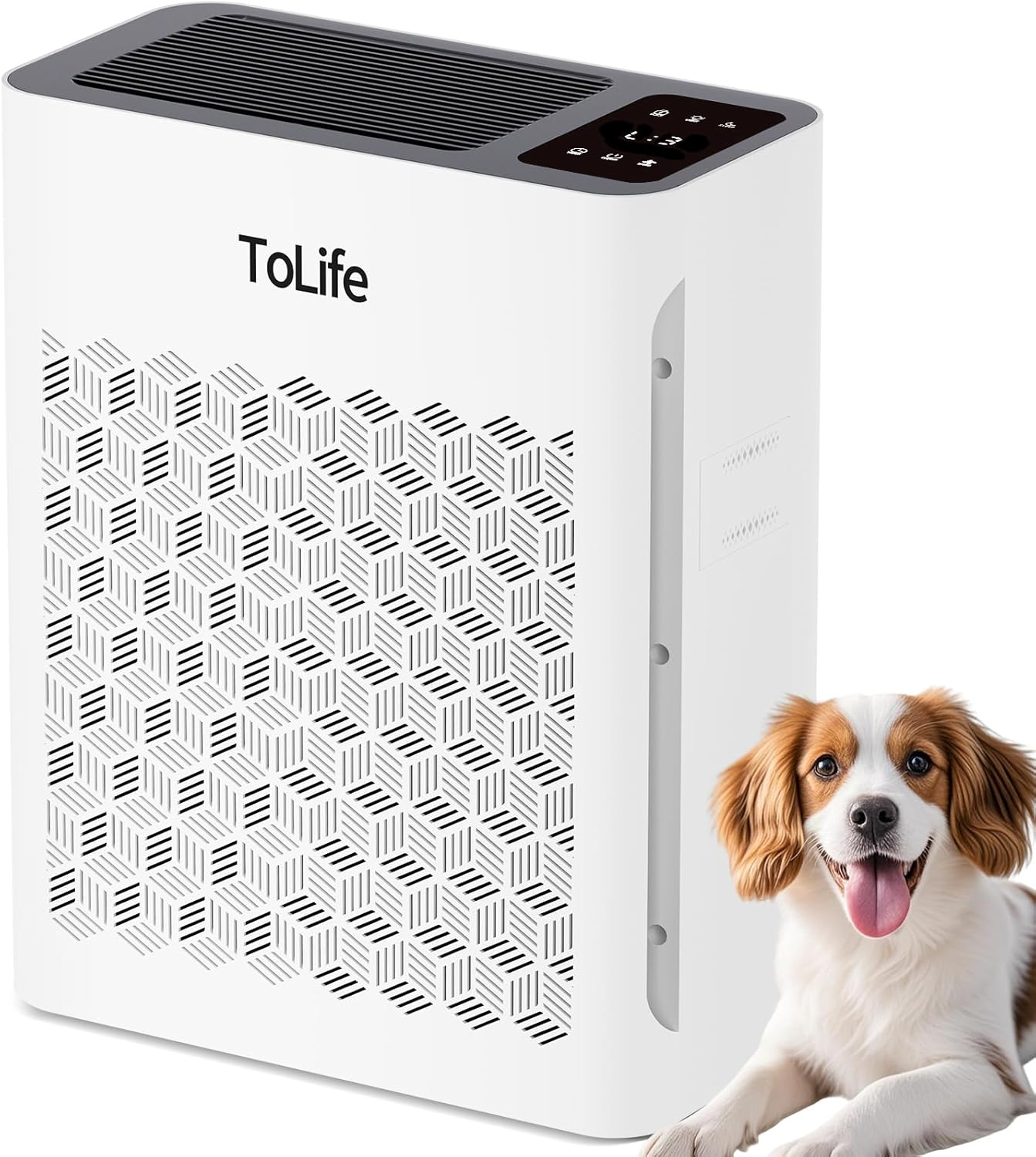 ToLife H13 HEPA Air Purifier for Large Rooms | Quiet Air Cleaner for Pets & Bedrooms