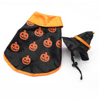 Halloween pet accessories