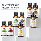 Collection of plant essence aromatherapy bottles on a white background