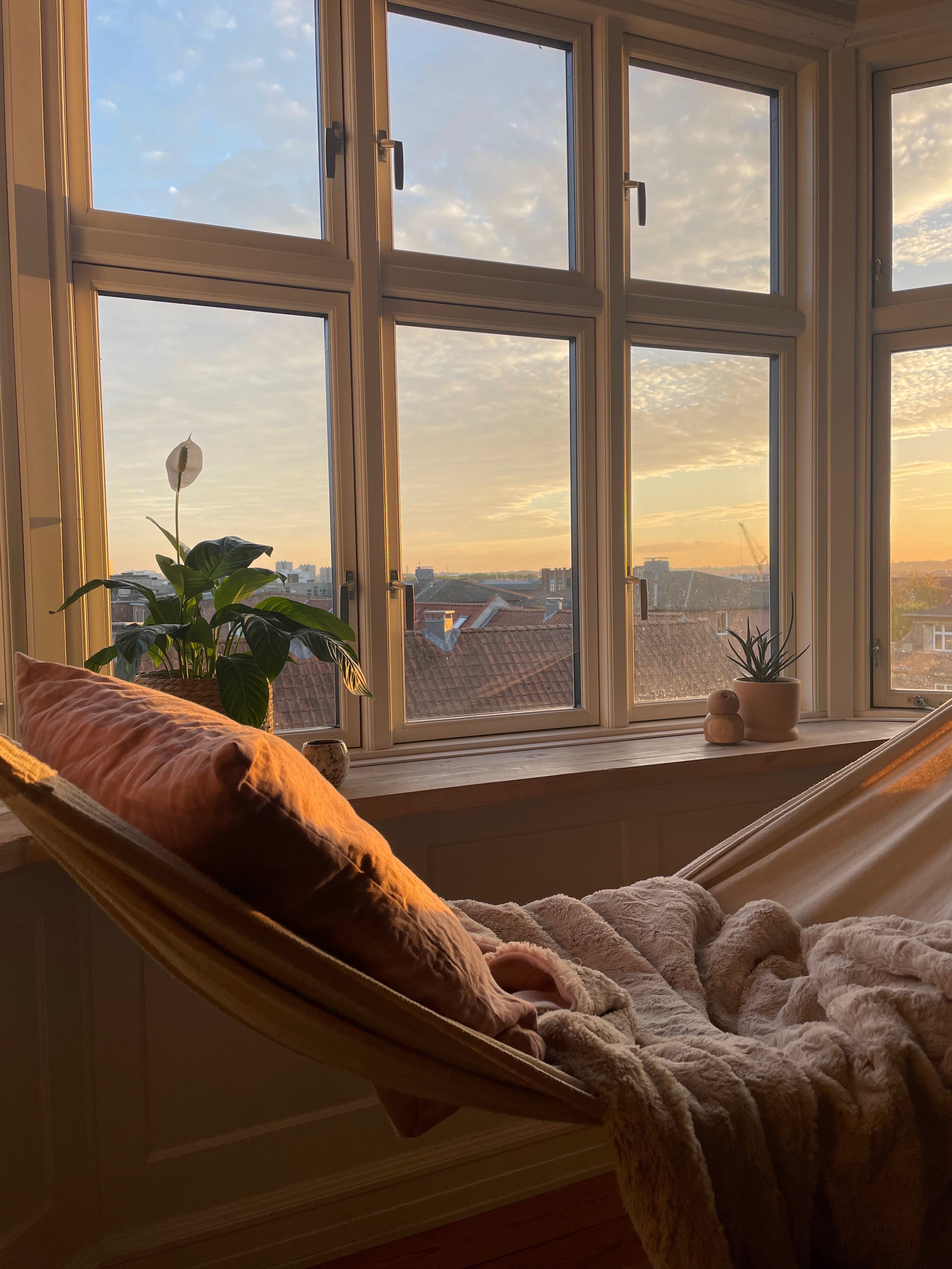 A cozy indoor scene with a fabric hammock draped by a large window, holding a pink pillow and a soft blanket. Outside, a city skyline is visible at sunset with warm light streaming through the windows and small potted plants on the sill.