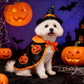 Halloween cape for dogs