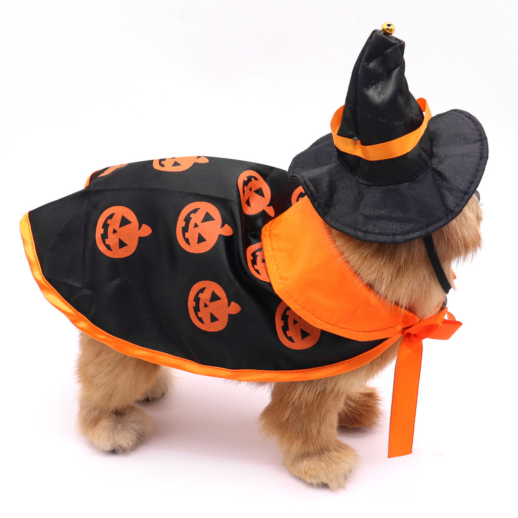 pet Halloween cape and hat